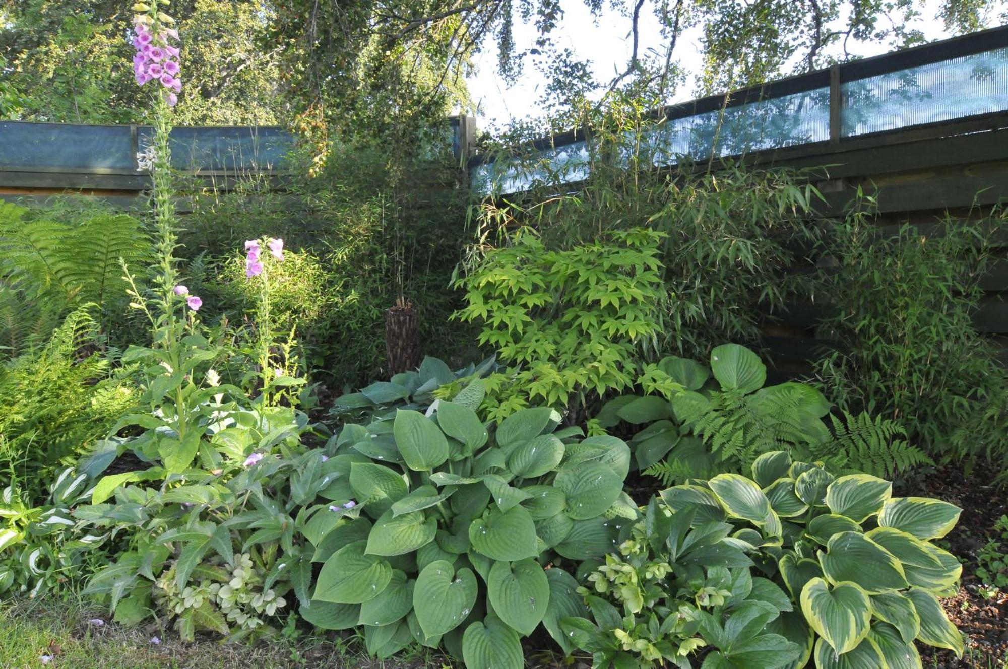 Home Farm Bed And Breakfast Muir of Ord Exterior foto