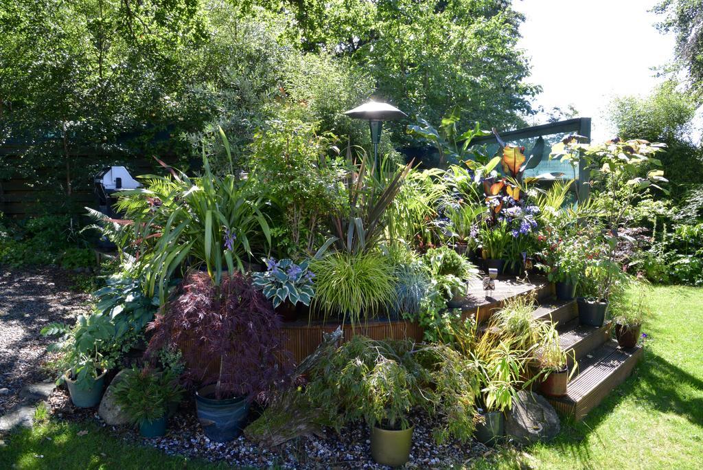 Home Farm Bed And Breakfast Muir of Ord Exterior foto